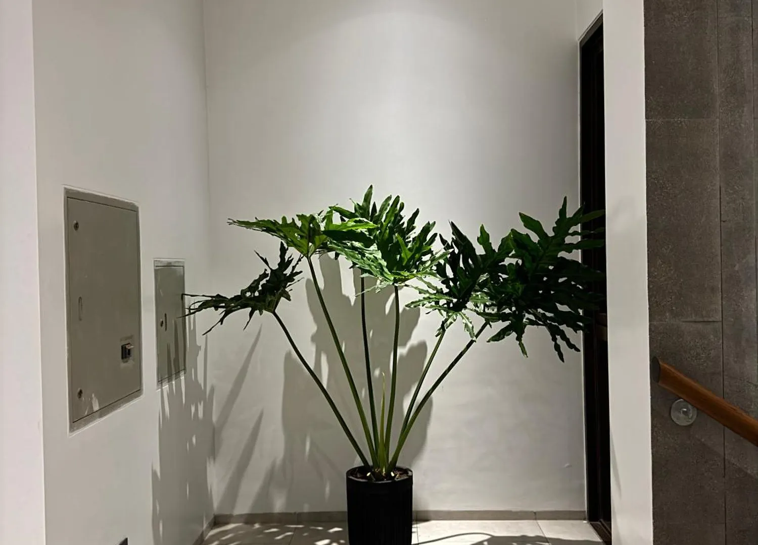 De Oro Luxury Villa Dhaka